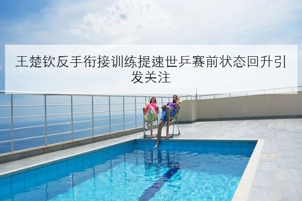 王楚钦反手衔接训练提速世乒赛前状态回升引发关注